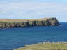 Shetland (58)